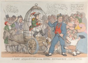 Eine seltene Neuerwerbung für die königliche Menagerie, 28. Juli 1815 von Thomas Rowlandson