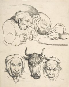 Vergleichende Anatomie, 1800-25