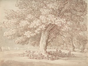 Herde von Hirschen unter einer Eiche, 1775-1827 von Thomas Rowlandson