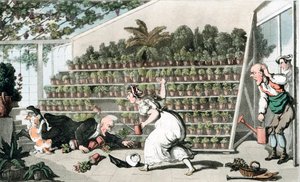 Unglück in der Tulpenhalle von Thomas Rowlandson