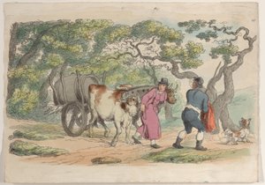 Tafel 40, aus World in Miniature, 1816