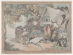 Das Kutschpferd aus Das Leben eines Rennpferdes, oder Der Hochmütige Renner, 20. Juli 1789 von Thomas Rowlandson