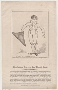 Das monströse Kriechtier oder ein neu entdecktes Tier von Thomas Rowlandson
