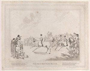 Das Rennpferd aus Das Leben eines Rennpferdes oder Der hochmütige Renner von Thomas Rowlandson