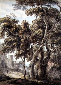Studie von Bäumen