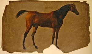 Ein arabisches Pferd von Thomas Sidney Cooper