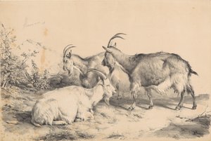 Drei Ziegen von Thomas Sidney Cooper