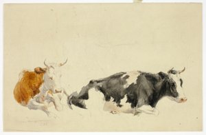 Zwei liegende Kühe (recto); Skizze einer stehenden Kuh (verso)
