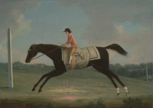 Borlase Cokayne als Junge, der Sultana reitet