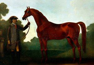 Mr. Charles Wilsons Araber mit einem Stallburschen