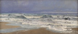 Grauer Tag an der Nordsee mit Brandung