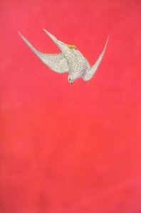 Rosa Swoop; Gerfalke