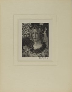Alte italienische Meister von Timothy Cole