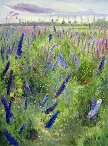Rittersporn und aufgehende Sonne von Timothy Easton