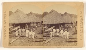  von Timothy H. O