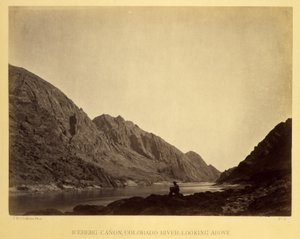 Iceberg Canyon, Colorado River, Blick nach oben