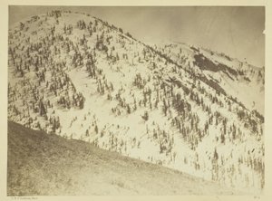 Schneegipfel, Bull Run Bergbaudistrikt, Nevada