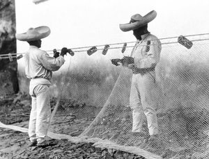 Fischer mit Netzen, Mexiko, ca. 1926