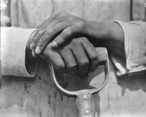 Hände eines Bauarbeiters, Mexiko, 1926 von Tina Modotti