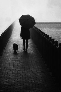 Nebliger Spaziergang mit Hund von Tito Mindoljevic