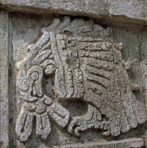 Relief eines Adlers, Tempel des Quetzalcoatl