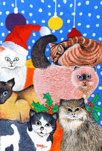 Weihnachtskatzen von Tony Todd