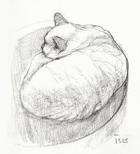 Gemütliche Gekuschelte Katze von Tore Bahnson