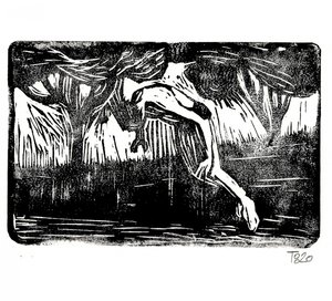 Fallen in den Wald von Tore Bahnson