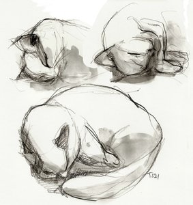 Schlafende Katze Studien von Tore Bahnson