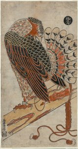 Sperber (Konori taka) von Torii Kiyomasu I