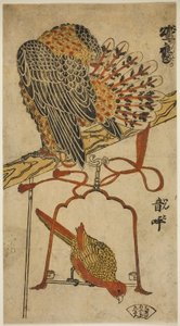 Sperber und Ara (Konori taka, inko) von Torii Kiyomasu I