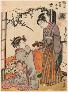 Der Samurai (Shi) aus der Serie Schönheiten, die die vier sozialen Klassen illustrieren (Adesugata shi no ko sho) von Torii Kiyonaga