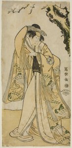 Der Schauspieler Sakakiyama Sangoro als Prinzessin Odae, die Tochter des Seniorregenten Michinaga