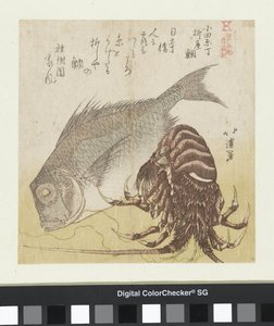Der Seebarsch von Yanagiya in Odawarachō