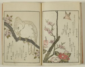 Kyoka hyakucho Kocho von Totoya Hokkei