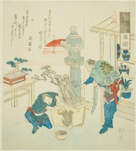 Topfpflanze (Ueki), aus der Serie "Achtzehn Illustrationen der Leiter der alten Worte (Kogentei juhachiban tsuzuki)"