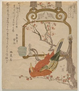 Roter Sittich (Shōjō-inko) von Totoya Hokkei