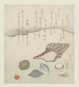 Reflexionsmuschel, Elfenbeinschnecke und Tritonschnecke (Eine Serie von Muscheln) von Totoya Hokkei