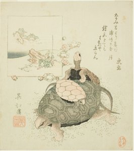 Meeresschildkröten und Urashima Taro