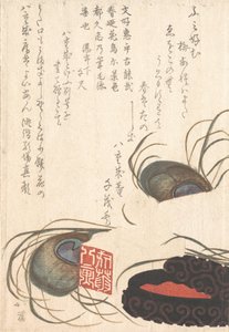 Siegelstein und Siegel-Tinte mit Pfauenfedern, aus dem Frühlingsregen Surimono Album H..., wahrscheinlich 1817 von Totoya Hokkei