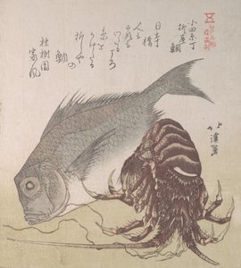 Tai-Fisch und Hummer, Spezialitäten von Yanagiya in Odawara-cho