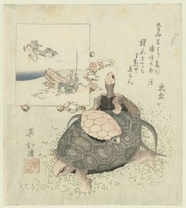 Schildkröten von Totoya Hokkei