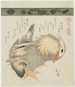 Mandarinente und Erpel, ca. 1830 von Toyota Hokkei