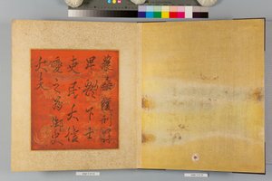 Album von Falken und Kalligraphie von Tsunenobu Kano