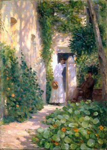 Kapuzinerkresse, um 1903