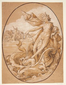 Venus Marina