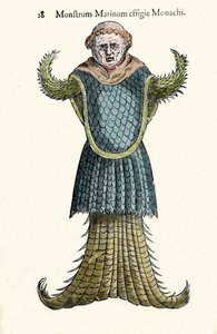 Der Seemönch, imaginärer Fisch und Meeresmonster von Ulisse Aldrovandi (1522-1605), „Monstrorum Historiae“, Bologna 1642