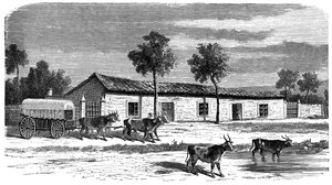 Eine Burenfarm, Südafrika, ca. 1890 von Unbekannt