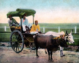 Eine Bombay-Rickshaw, Indien, frühes 20. Jahrhundert von Unbekannt