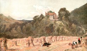 Ein Kornfeld, um 1840er Jahre, um 1900 von Unbekannt